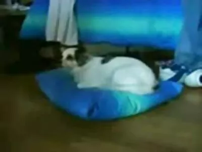 ಮಲಗುವ ಕೋಣೆ ಫ್ಯಾಂಟಸಿ